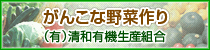 �L����А��a�L�@���Y�g��