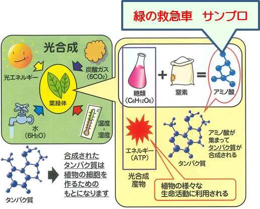 サンプロ・イメージ