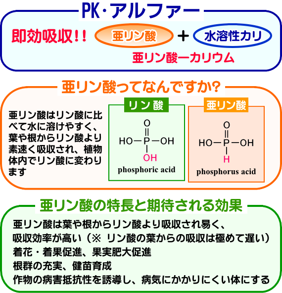 PK・アルファー商品イメージ