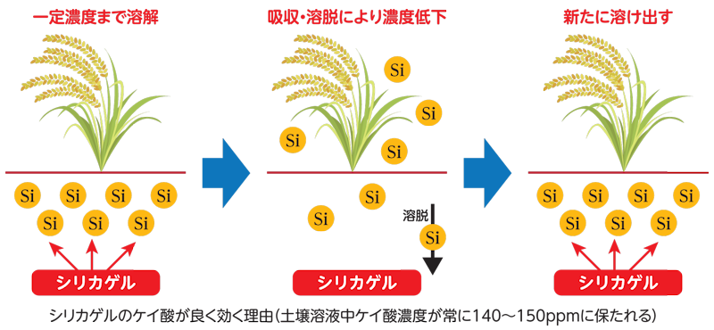 シリカゲルがよく効く理由