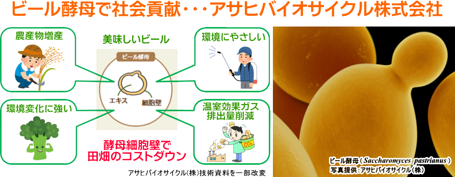 セルエナジー / エクストラターフ | 清和肥料工業株式会社