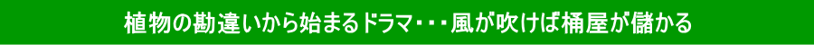 植物の勘違いから始まるドラマ