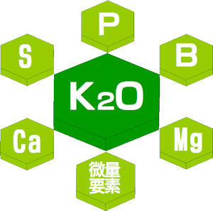 K1-加里33イメージ