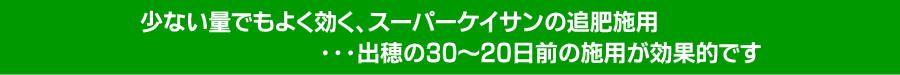 少量でもよく効く、スーパーケイサンの追肥施用