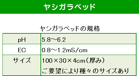 ヤシガラベッドの規格