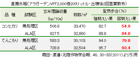 アラガーデンVFFの直撒水稲に対する施用効果