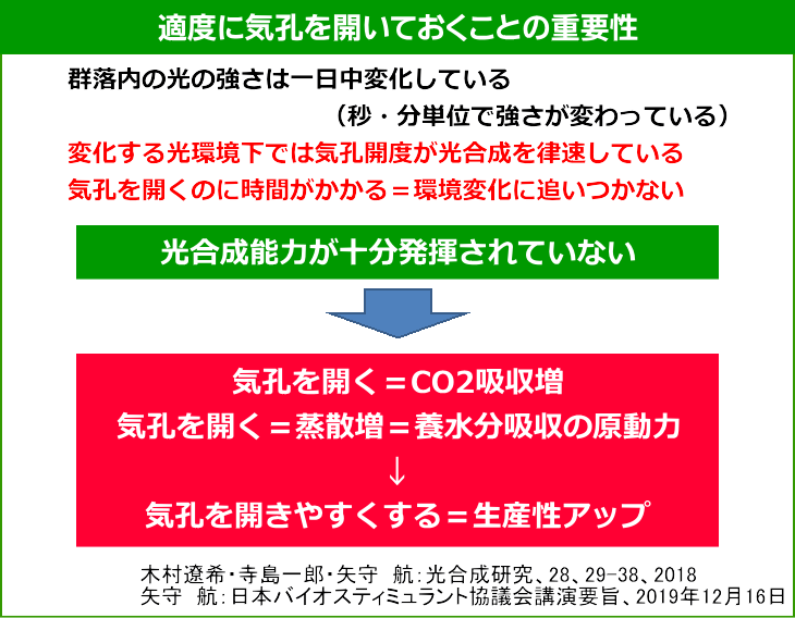 適度に気孔を開いておくことの重要性