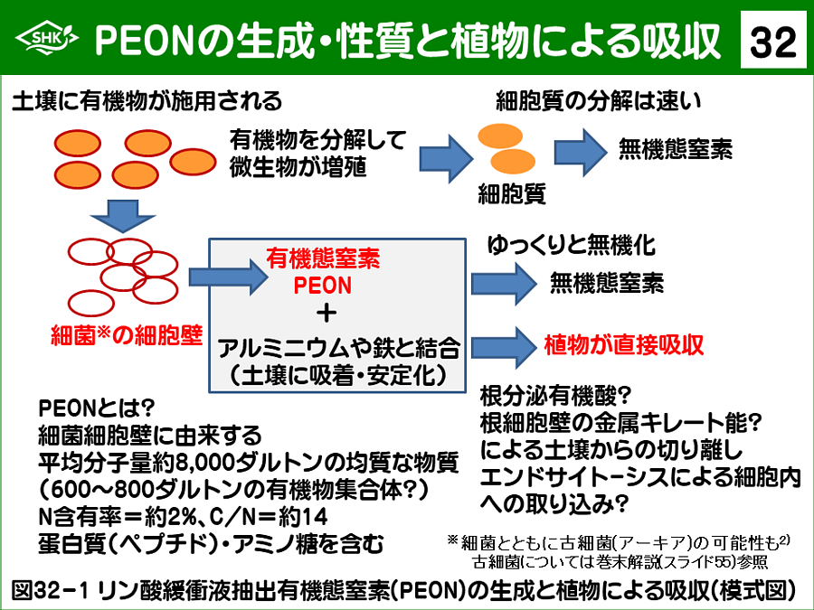 スライド32：PEONの生成・性質と植物による吸収