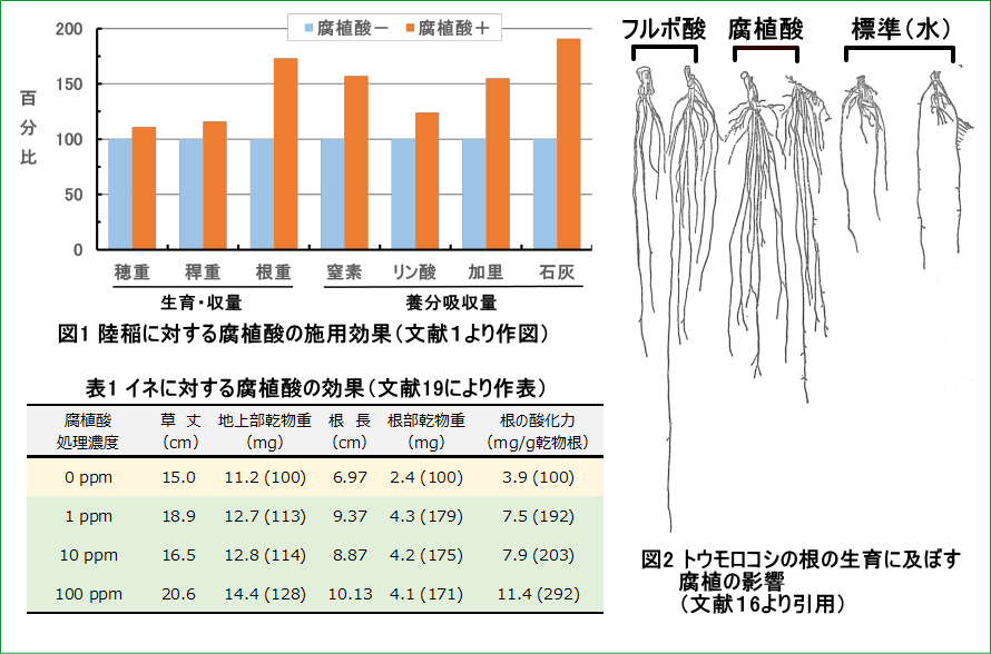 腐植酸の効果